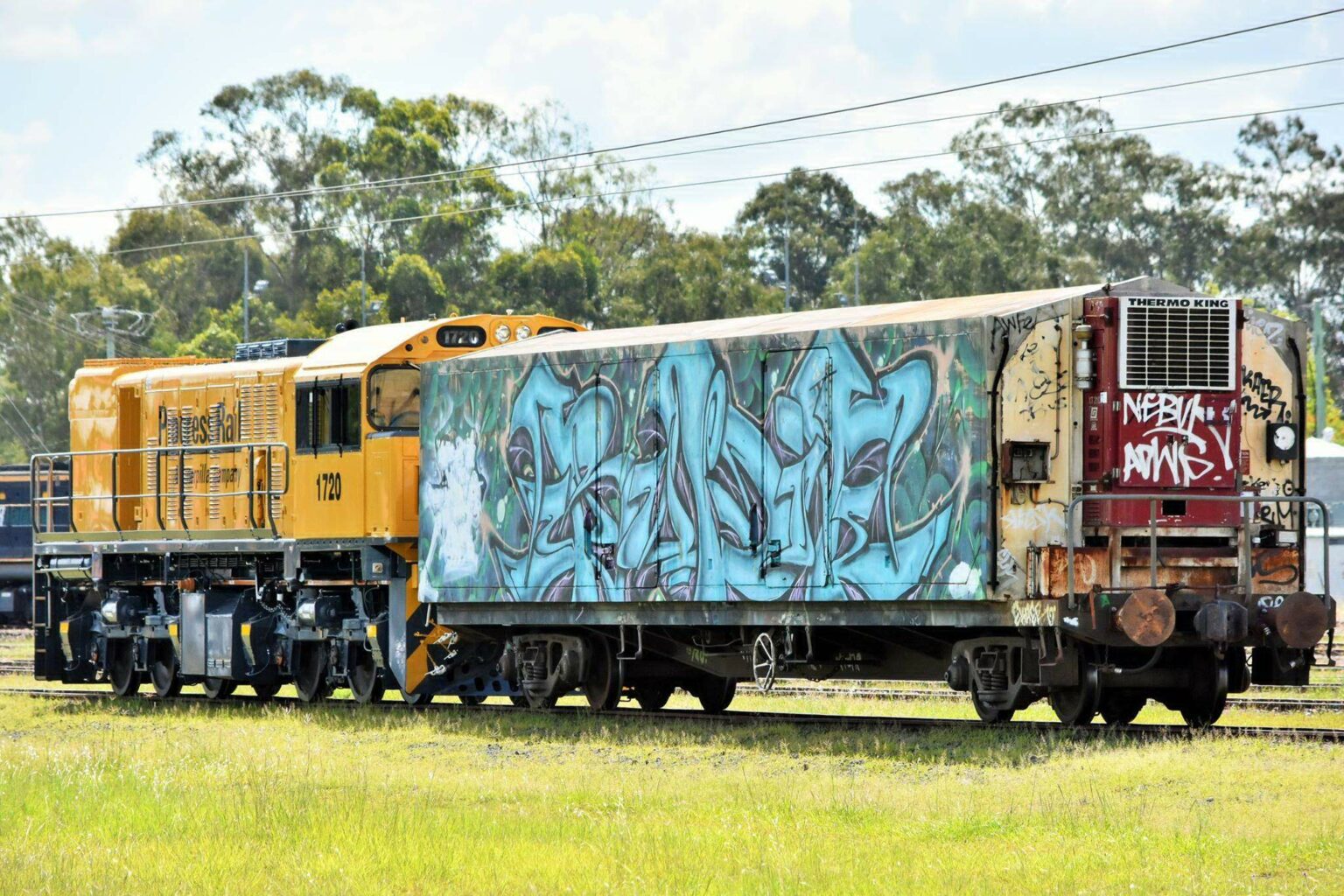 RCF 29265